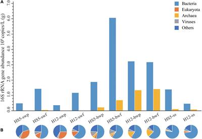 Metagenomic Insights Into the Microbial Assemblage Capable of Quorum Sensing and Quorum Quenching in Particulate Organic Matter in the Yellow Sea